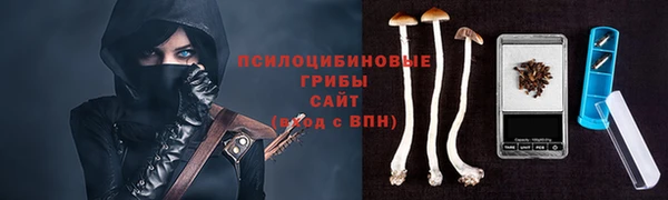 ПСИЛОЦИБИНОВЫЕ ГРИБЫ Алзамай