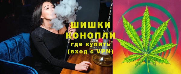 бошки Арсеньев