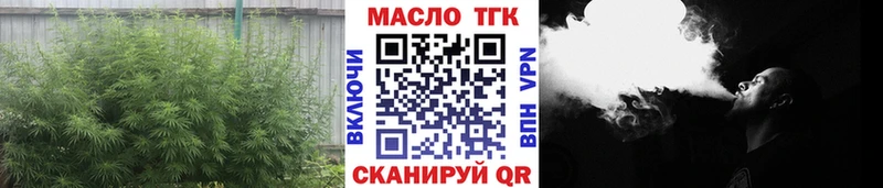 закладка  Прохладный  ТГК THC oil 