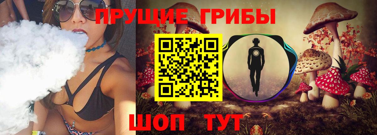 Галлюциногенные грибы прущие грибы  Вход с VPN  Псилоцибиновые грибы мицелий  Прохладный 