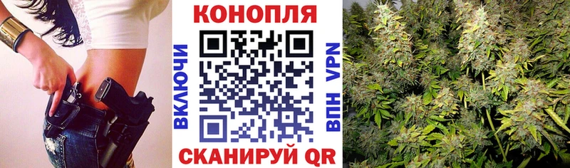 купить наркотик  kraken зеркало  МАРИХУАНА планчик  Прохладный 